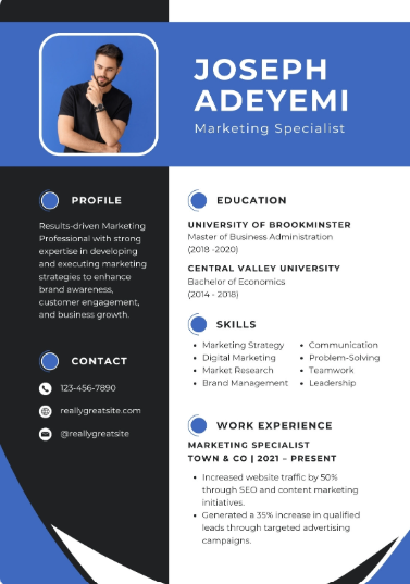 Professional CV Sample 38